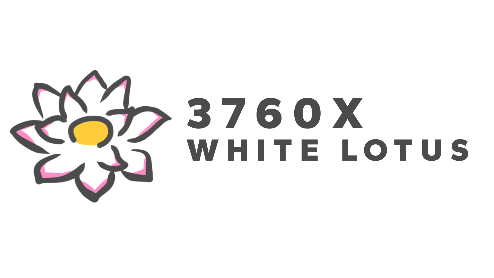 3760X White Lotus team logo